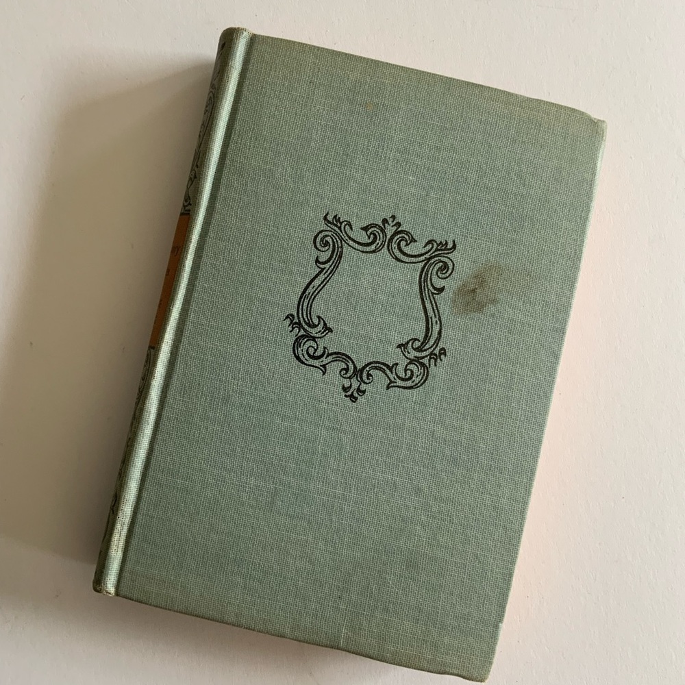 Too Many Woman Book